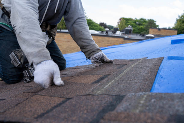Quick and Trustworthy Emergency Roof Repair Services in Logan Elm Village, OH